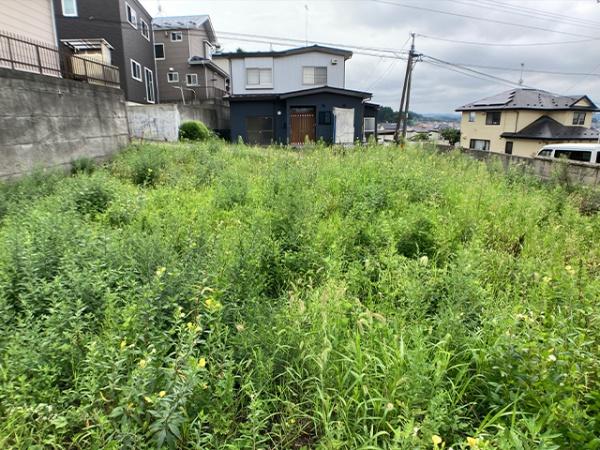 八戸市大字新井田字西平の土地