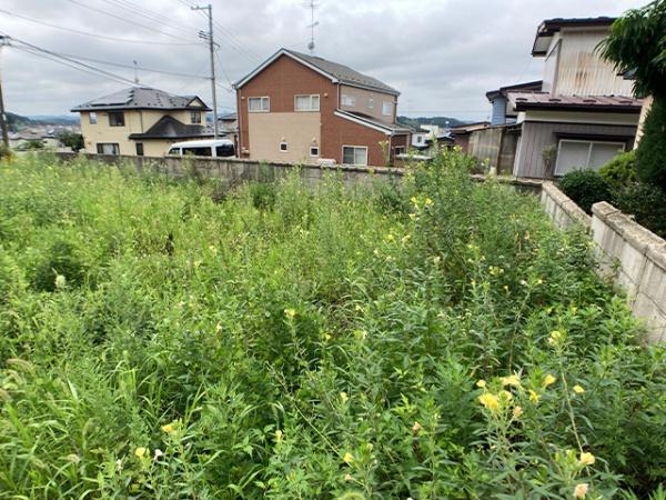 八戸市大字新井田字西平の土地