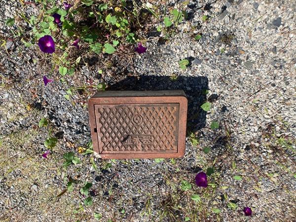 八戸市根城３丁目の土地