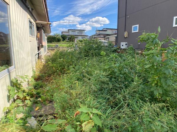 八戸市大字妙字野場の土地