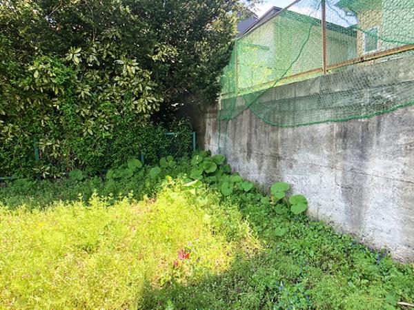 八戸市大字妙字市子林の土地