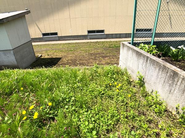 八戸市大字妙字市子林の土地