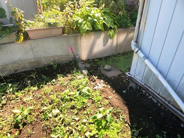 三戸郡階上町蒼前西２丁目の土地