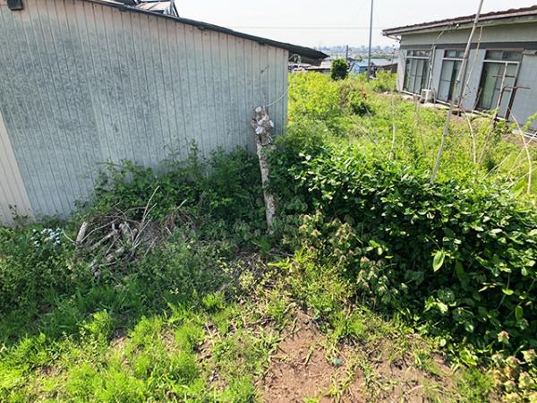 八戸市大字新井田字西平の土地