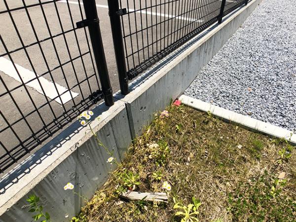 八戸市大字尻内町字矢沢の土地