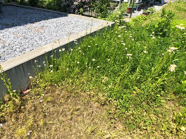 八戸市大字尻内町字矢沢の土地