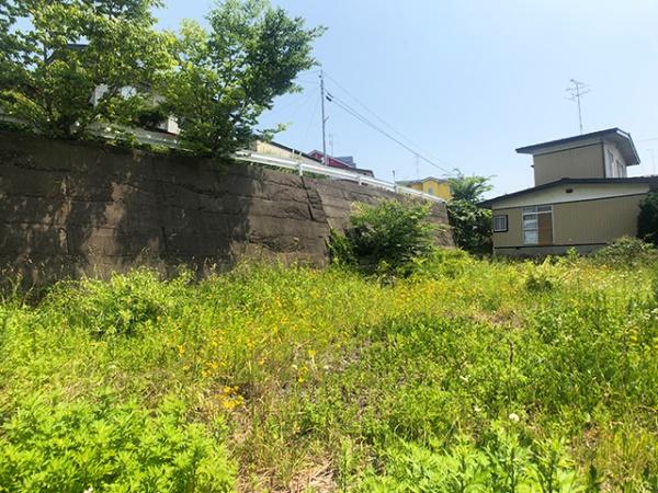 八戸市大字田面木字神明沢の土地