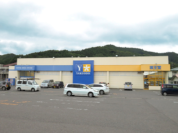 三戸郡南部町大字大向字田ノ尻の中古一戸建て(薬王堂南部町店)