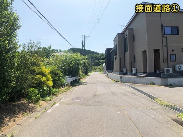 三戸郡南部町大字大向字田ノ尻の中古一戸建て(前面道路含む現地写真)