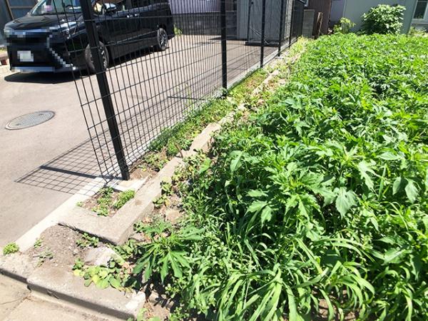 八戸市小中野五丁目　住宅用売土地　3628（A）