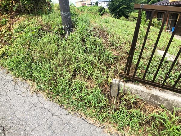 八戸市大字新井田字松山中野場の土地