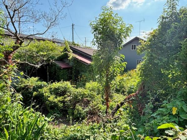 八戸市吹上３丁目の土地