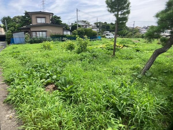 八戸市大字新井田字寺沢の土地