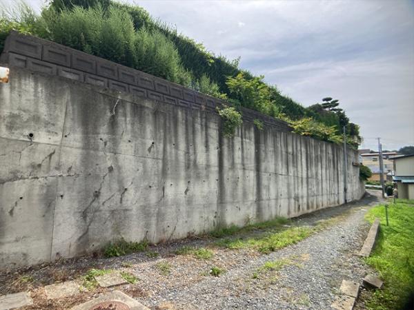 八戸市大字新井田字寺沢の土地