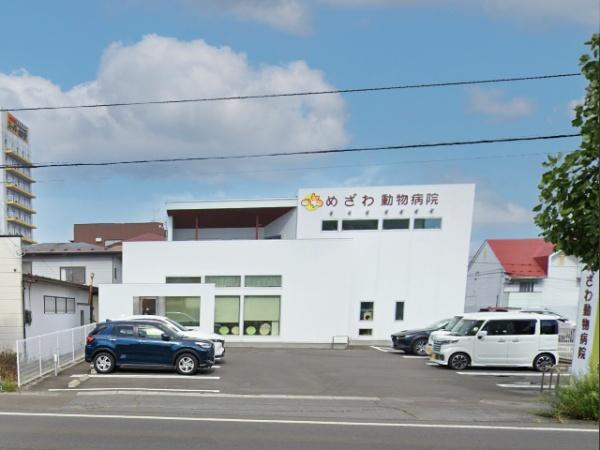 八戸市類家1丁目の土地(めざわ動物病院)