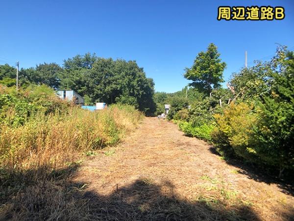 三戸郡階上町大字道仏字横沢山の土地