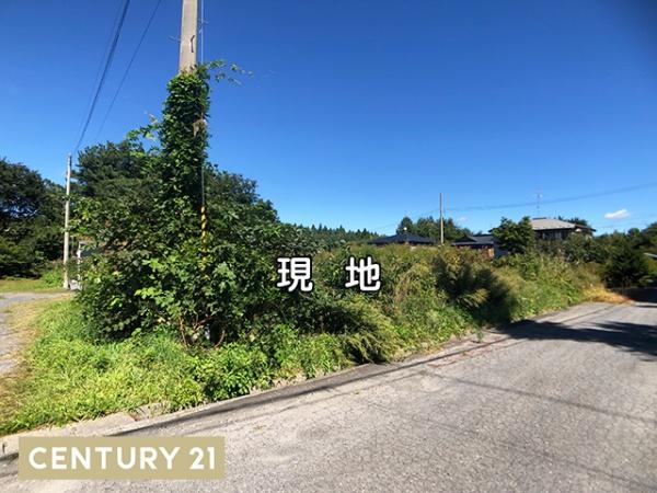 階上町道仏横沢山　住宅用売土地　3652（A）