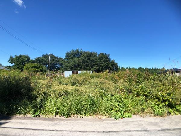 三戸郡階上町大字道仏字横沢山の土地