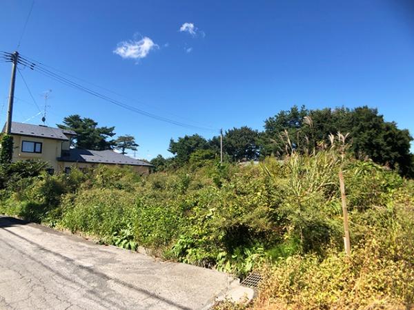 三戸郡階上町大字道仏字横沢山の土地