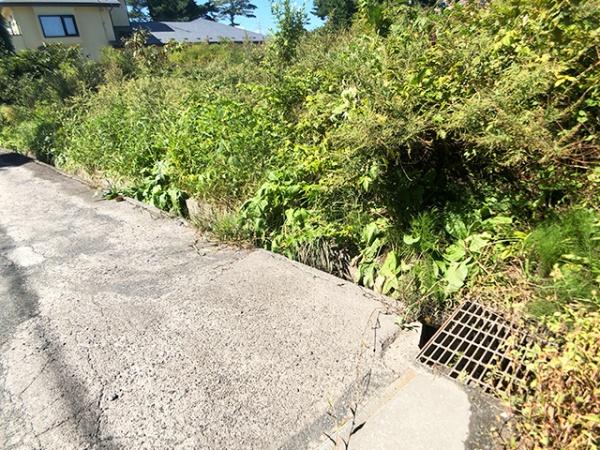 三戸郡階上町大字道仏字横沢山の土地