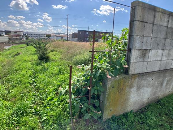 上北郡おいらせ町苗振谷地の土地