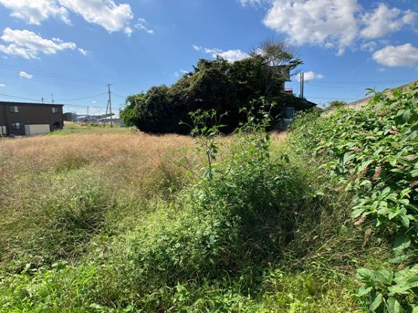 上北郡おいらせ町苗振谷地の土地