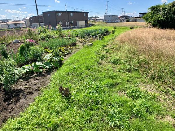 上北郡おいらせ町苗振谷地の土地