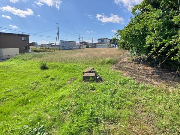 上北郡おいらせ町苗振谷地の土地
