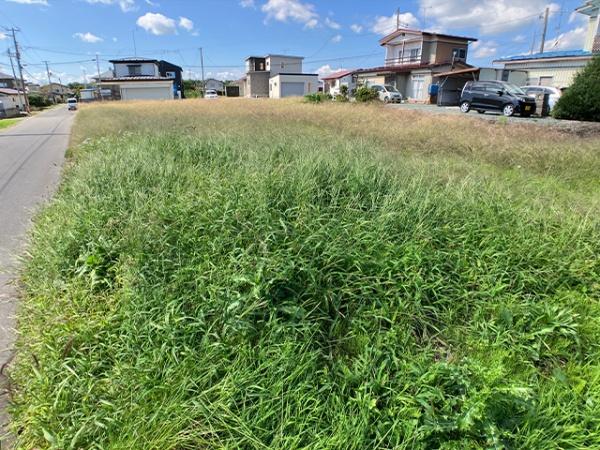 上北郡おいらせ町苗振谷地の土地