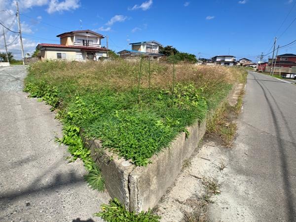 上北郡おいらせ町苗振谷地の土地