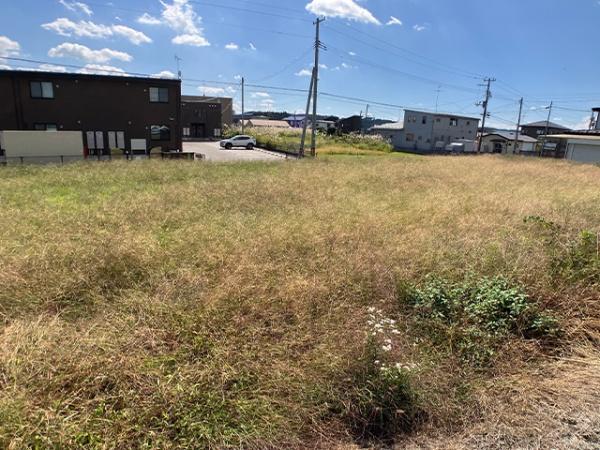 上北郡おいらせ町苗振谷地の土地