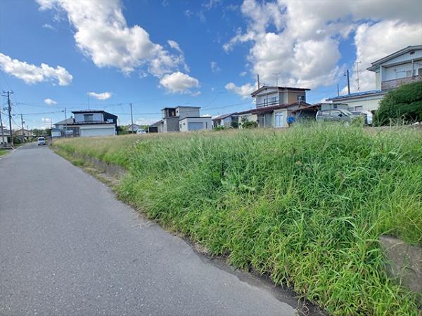 上北郡おいらせ町苗振谷地の土地