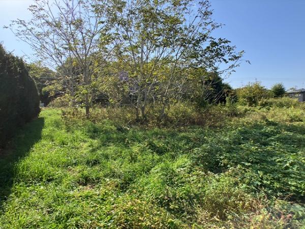 八戸市大字大久保字町畑西ノ平の土地