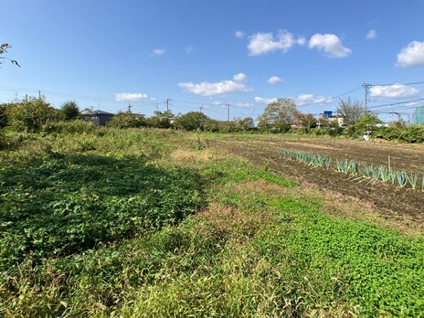 八戸市大字大久保字町畑西ノ平の土地