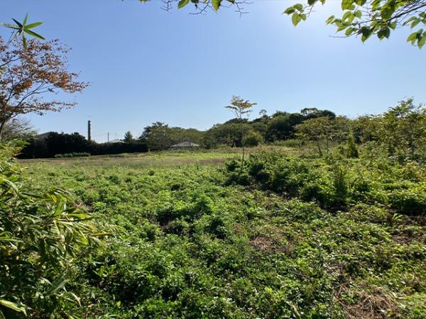 八戸市大字大久保字町畑西ノ平の土地