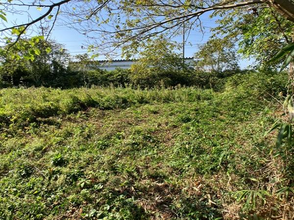 八戸市大字大久保字町畑西ノ平の土地