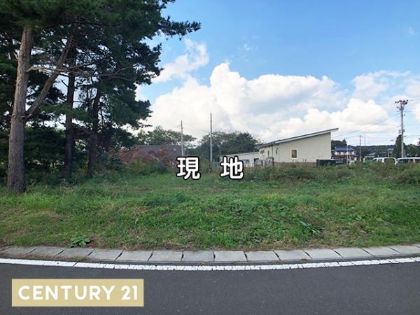 階上町道仏耳ケ吠　住宅用売土地　3665（O）