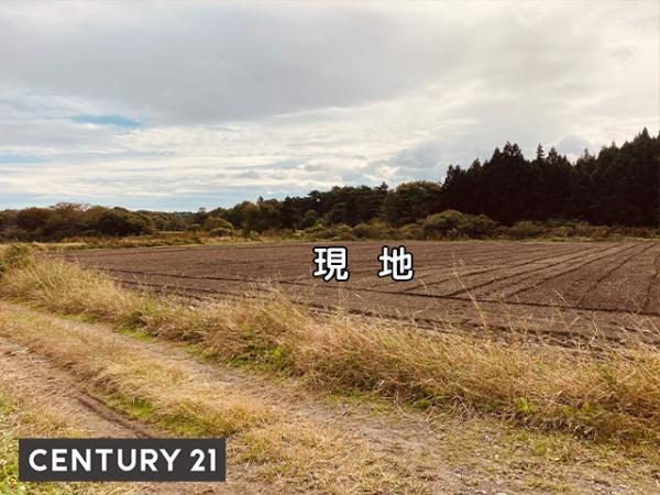 八戸市金浜家ノ向 売土地(調整区域)3670(K)