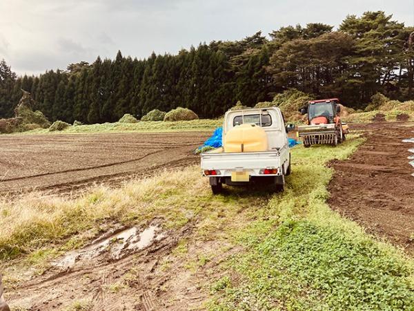 八戸市大字金浜字家ノ向の土地(現地土地写真)