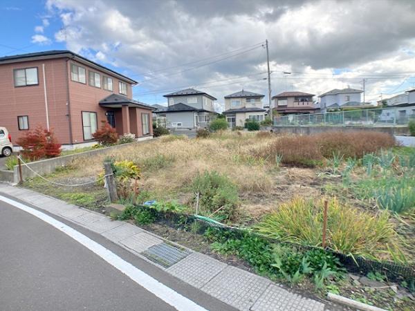 八戸市大字新井田字鷹待場の土地(現地土地写真)