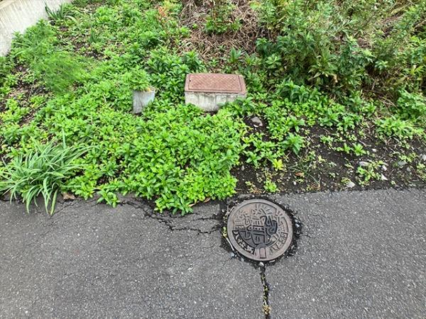 八戸市大字白銀町字堀ノ内の土地(現地土地写真)