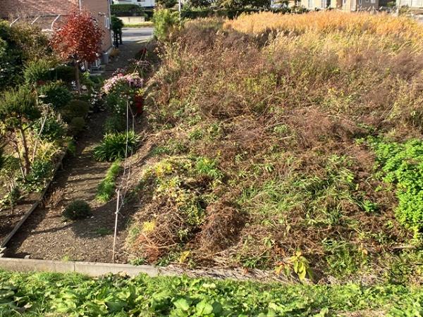 八戸市長苗代４丁目の土地