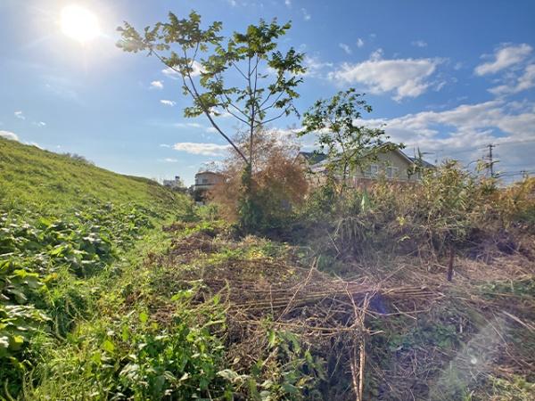 八戸市長苗代４丁目の土地