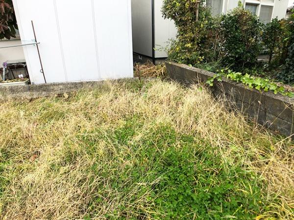 八戸市大字白銀町字雷の土地