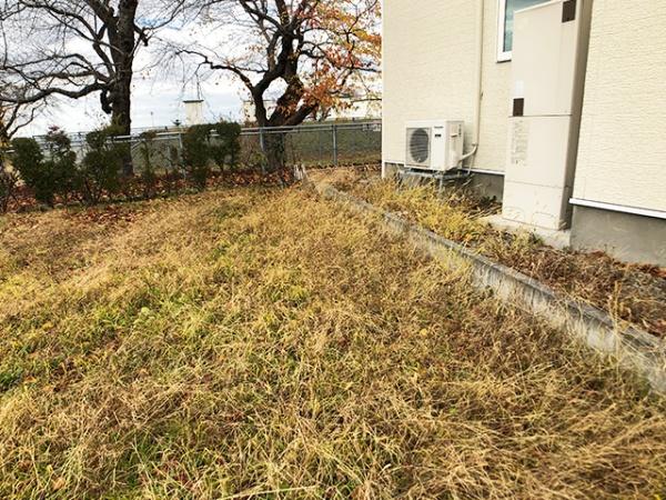 八戸市大字白銀町字雷の土地