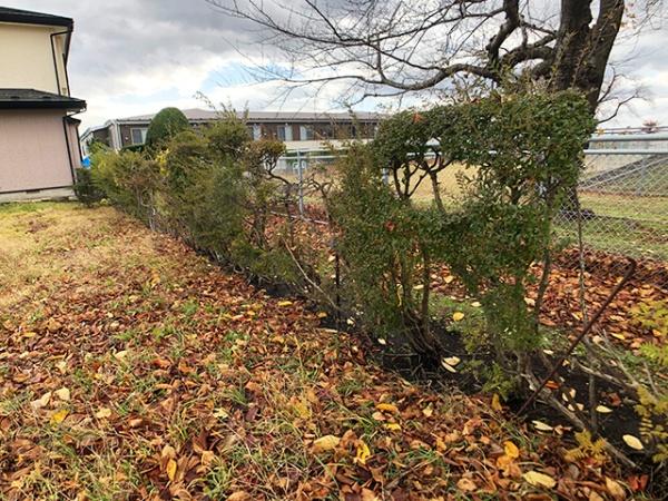 八戸市大字白銀町字雷の土地