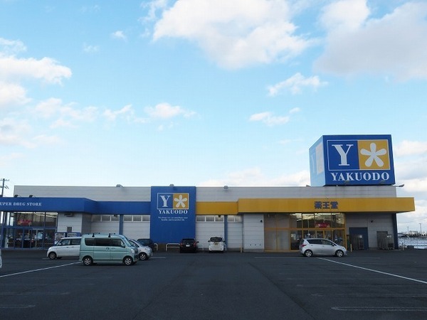 八戸市大字尻内町字下根市の土地(薬王堂八戸尻内店)