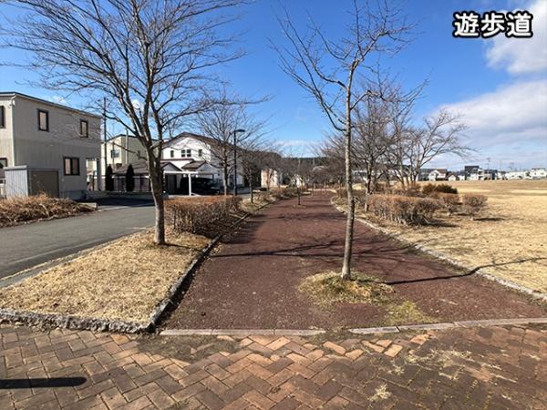 八戸市西白山台５丁目の土地