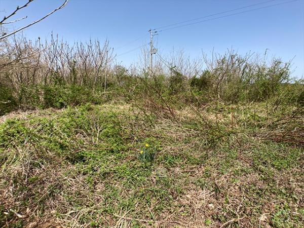 三戸郡階上町蒼前西６丁目の土地