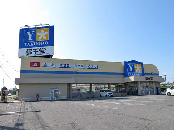 三戸郡階上町大字道仏字耳ケ吠の土地(薬王堂青森階上店)